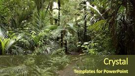  Presentation with walking trail - Presentation theme with walking trail in tropical forest background and a tawny brown colored foreground