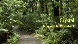  Presentation with walking trail - Theme consisting of walking trail in tropical forest background and a tawny brown colored foreground