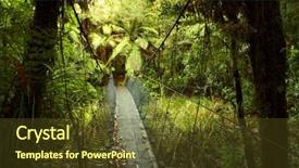  Presentation with walking trail - PPT theme featuring jungle wild - walking trail in tropical forest background and a tawny brown colored foreground
