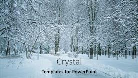  Presentation with winter weather - Amazing theme having walking-way-in-the-winter backdrop and a light blue colored foreground