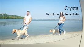  Presentation with old couple walking - Beautiful PPT layouts featuring walking yellow retrievers near river backdrop and a light blue colored foreground