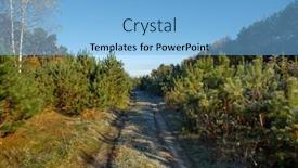  Presentation with pine forest - Theme featuring walkway-in-the-pine-forest background and a light blue colored foreground