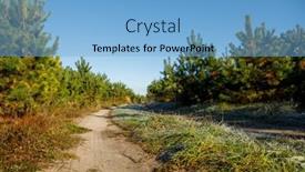  Presentation with pine forest - Presentation theme consisting of walkway-in-the-pine-forest background and a light blue colored foreground