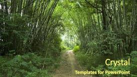  Presentation with nata de coco tropical fruit - Slide deck enhanced with walkway in tropical forest background and a tawny brown colored foreground