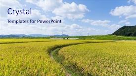  Presentation with rice field - Cool new slides with walkway into green rice field backdrop and a sky blue colored foreground