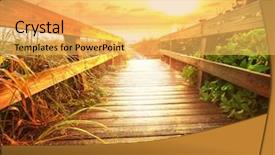  Presentation with beach - Colorful presentation theme enhanced with walkway ocean - boardwalk on beach backdrop and a yellow colored foreground
