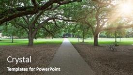  Presentation with america - Amazing slide set having walkway-through-green-garden backdrop and a dark gray colored foreground
