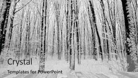  Presentation with black art - Slide set with wall art - wood textured backgrounds background and a light gray colored foreground