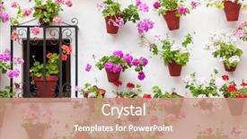 Presentation with cordoba - Amazing presentation theme having wall decorated colorful flower backdrop and a coral colored foreground