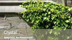  Presentation with new york university - Slides featuring wall in ithaca new york background and a gray colored foreground