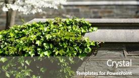  Presentation with new york - Amazing PPT layouts having wall in ithaca new york backdrop and a gray colored foreground