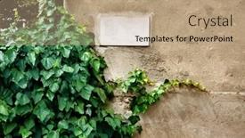  Presentation with wall - Slides consisting of wall-of-a-house background and a coral colored foreground