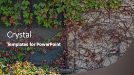  Presentation with old house - Presentation enhanced with wall-of-an-old-house background and a dark gray colored foreground