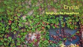  Presentation with old house - Presentation having wall-of-an-old-house background and a tawny brown colored foreground