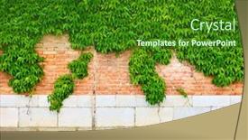  Presentation with ivy - Amazing presentation theme having wall-of-old-house backdrop and a forest green colored foreground