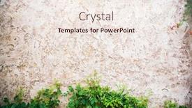  Presentation with cement - PPT theme featuring wall-texture-cement-concrete-texture background and a sky blue colored foreground