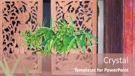  Presentation with chinese chinese - Presentation theme featuring wall-with-waving-pattern background and a coral colored foreground