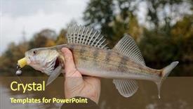  Presentation with handmade spa lavender soap - Slide set featuring walleye caught on handmade jig background and a tawny brown colored foreground