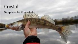  Presentation with autumn - Colorful slide deck enhanced with walleye caught on handmade jig backdrop and a light gray colored foreground