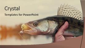  Presentation with freshly caught anchovy fishes engroulis - Beautiful PPT layouts featuring walleye caught on handmade jig backdrop and a soft green colored foreground