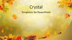  Presentation with falling leaves - Slides with wallpaper - autumn maple leaves on wooden background and a blonde colored foreground