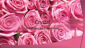  Presentation with pink roses - Slide deck with wallpaper pattern roses background and a coral colored foreground