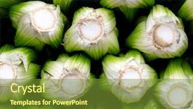  Presentation with celery - Cool new PPT theme with benifit sales - stack of fresh celery heads backdrop and a  colored foreground