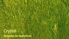  Presentation with green earth - Slide deck enhanced with walls beauty of earth background and a tawny brown colored foreground