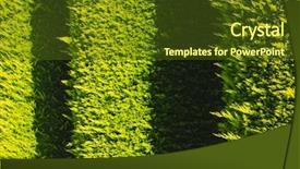  Presentation with cedar - Slide set consisting of walls beauty of earth background and a tawny brown colored foreground