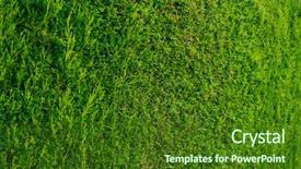  Presentation with green earth - PPT theme with walls beauty of earth background and a forest green colored foreground