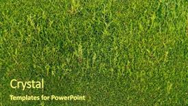  Presentation with cedar - Audience pleasing PPT theme consisting of walls beauty of earth backdrop and a tawny brown colored foreground