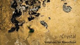  Presentation with mold - Amazing PPT theme having walls-of-an-abandoned-house backdrop and a gold colored foreground