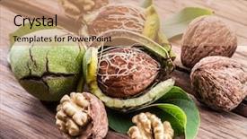  Presentation with walnut - Beautiful slide set featuring walnut and walnut kernel backdrop and a coral colored foreground