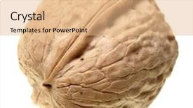  Presentation with walnut - Beautiful theme featuring walnut close-up isolated over the white background backdrop and a coral colored foreground