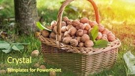  Presentation with walnut - PPT theme enhanced with walnut harvest walnuts background and a tawny brown colored foreground