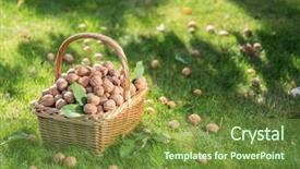  Presentation with walnut - PPT theme having walnut harvest walnuts background and a tawny brown colored foreground