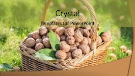  Presentation with walnut - PPT layouts featuring walnut harvest walnuts background and a  colored foreground