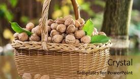  Presentation with walnut - Cool new PPT theme with walnut harvest walnuts backdrop and a coral colored foreground