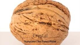  Presentation with walnut - Theme enhanced with walnut-isolated-on-white-background background and a coral colored foreground