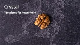  Presentation with walnut - PPT theme having walnut kernel on blue slate background and a dark gray colored foreground