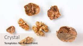  Presentation with shells - Colorful slides enhanced with walnut-kernels-and-shells backdrop and a coral colored foreground