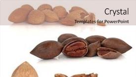  Presentation with nut - Cool new theme with walnut pecan almond and brazil nut sampler isolated over white background with reflection backdrop and a coral colored foreground