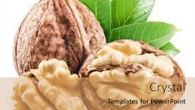  Presentation with green leaves - Slides enhanced with walnuts-and-walnuts-in-green background and a coral colored foreground