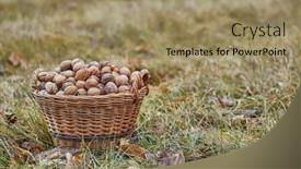  Presentation with dried fruits seeds nuts walnuts - Presentation consisting of walnuts-collected-in-a-basket background and a coral colored foreground