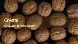  Presentation with shell - Colorful PPT theme enhanced with walnuts in the shell lying backdrop and a tawny brown colored foreground