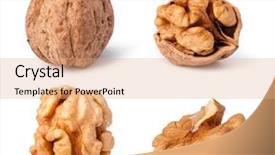  Presentation with walnut - PPT theme enhanced with walnuts isolated on white background background and a coral colored foreground