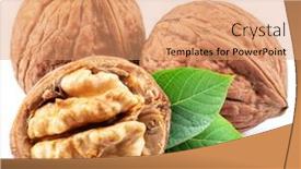  Presentation with chemistry leaves green leaf - Slides featuring walnuts-walnut-kernel-and-green background and a coral colored foreground