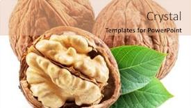  Presentation with green leaves - PPT layouts having walnuts-walnut-kernel-and-green background and a coral colored foreground