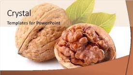  Presentation with walnut - Beautiful theme featuring walnuts with leaf in closeup backdrop and a coral colored foreground
