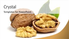  Presentation with walnut - Cool new PPT layouts with walnuts with leaves isolated backdrop and a white colored foreground